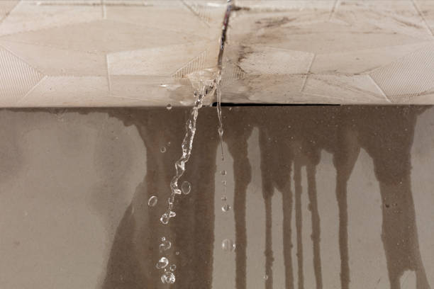 Professional Structural Drying technician working in Glyndon, MD